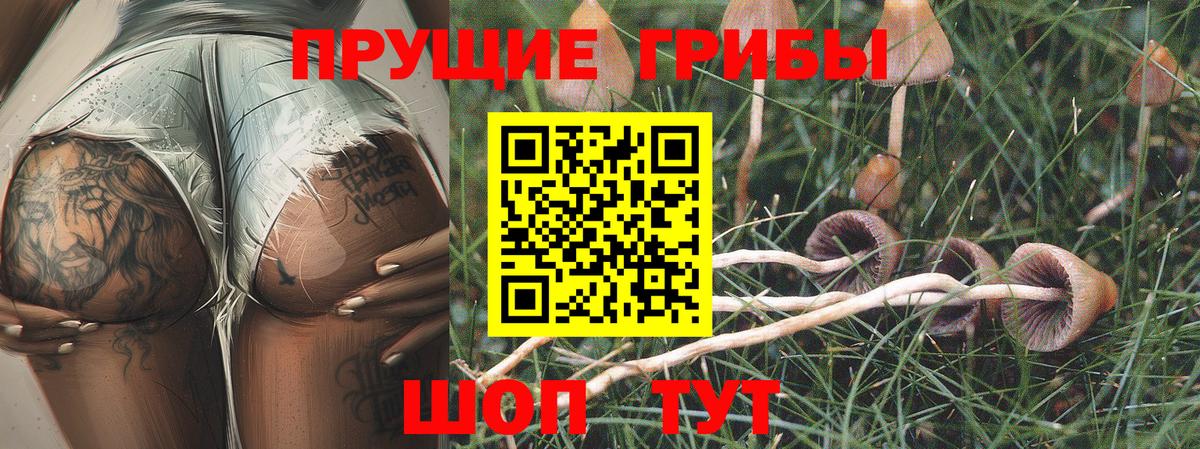Псилоцибиновые грибы мицелий  Вход с VPN  Псилоцибиновые грибы прущие грибы  Дюртюли 