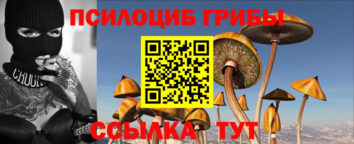 Галлюциногенные грибы Psilocybe Дюртюли